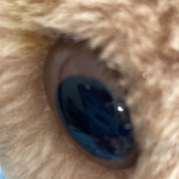 Vintage Eden Beatrix Potter Plush Mrs. Rabbit - Picture 10 of 10